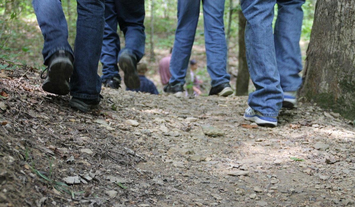 Identifying common heathland butterflies and moths